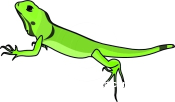 Clip art iguana clipart