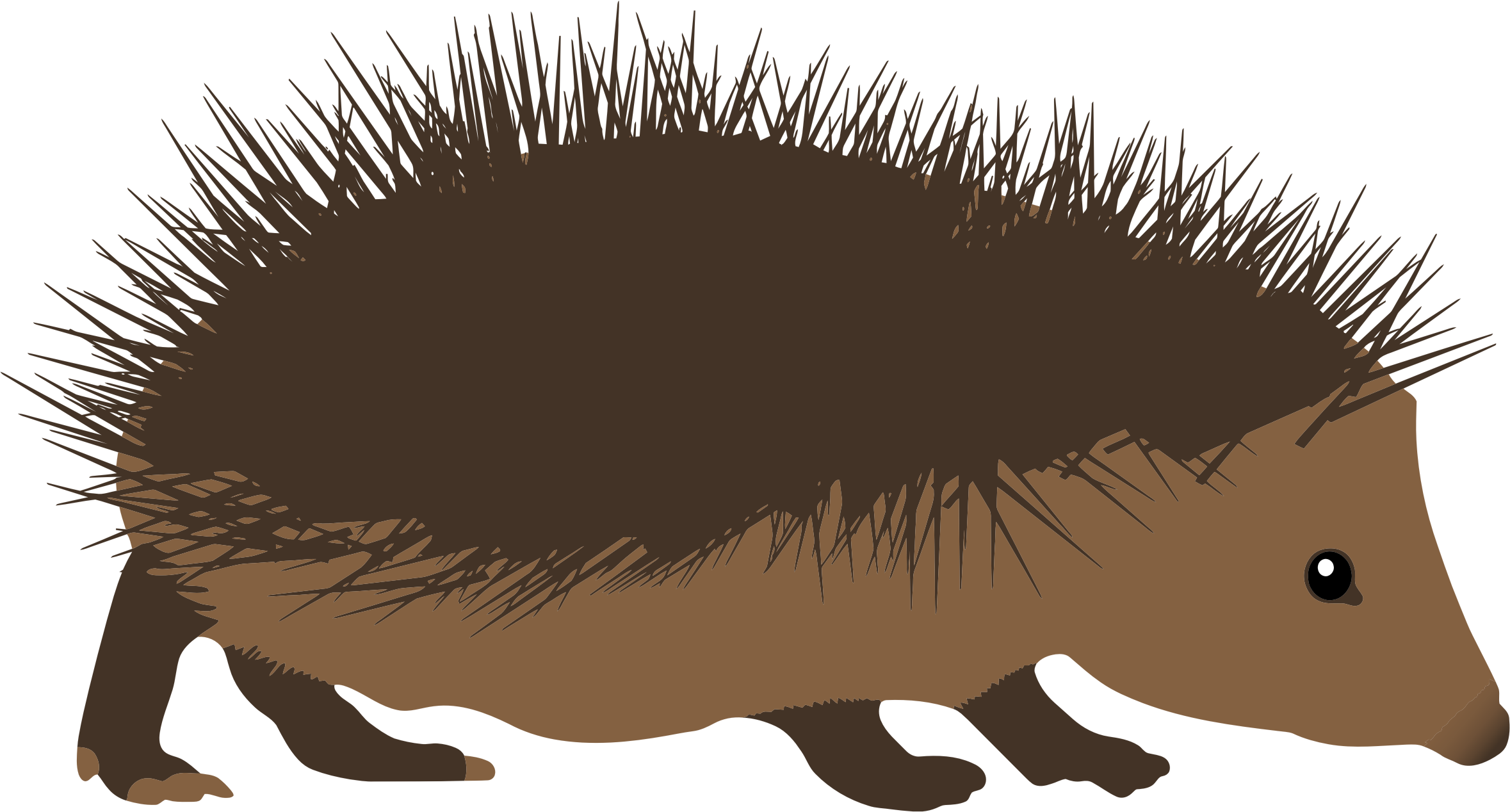 Clipart hedgehog