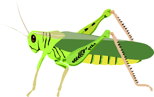 Cricket clipart insect clipartfest 2