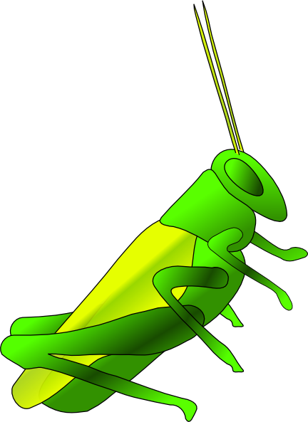 Cricket insect clipart