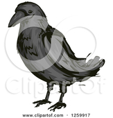 Crow Clip Art Crow Clipart Fans Wikiclipart