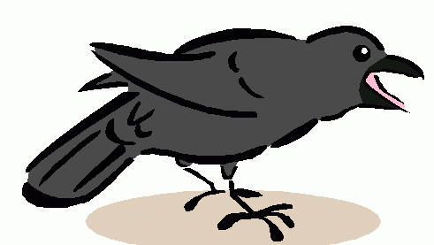 Crow clipart 5