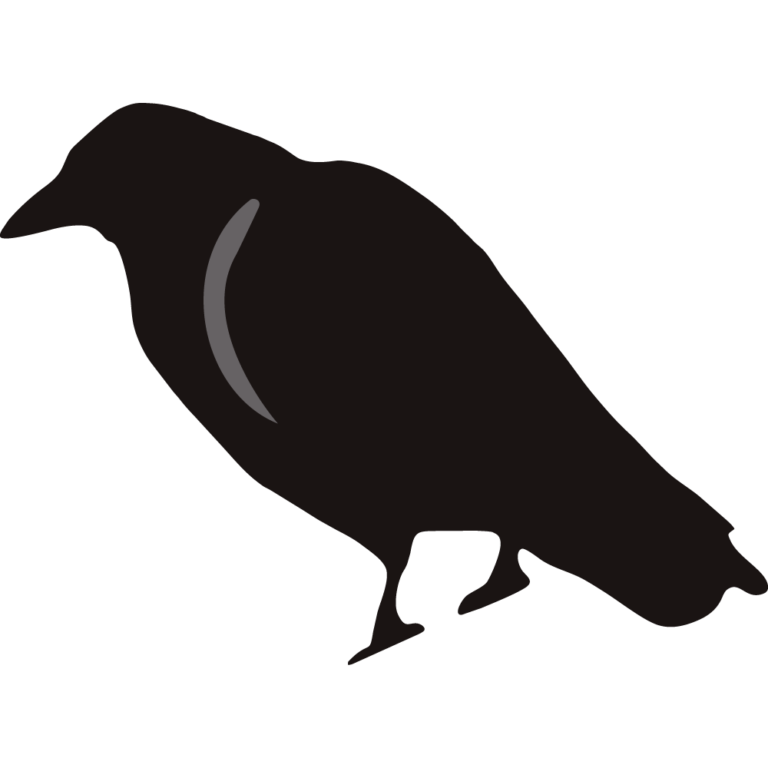 Crow clipart birds and clip art photo crowclipart - WikiClipArt