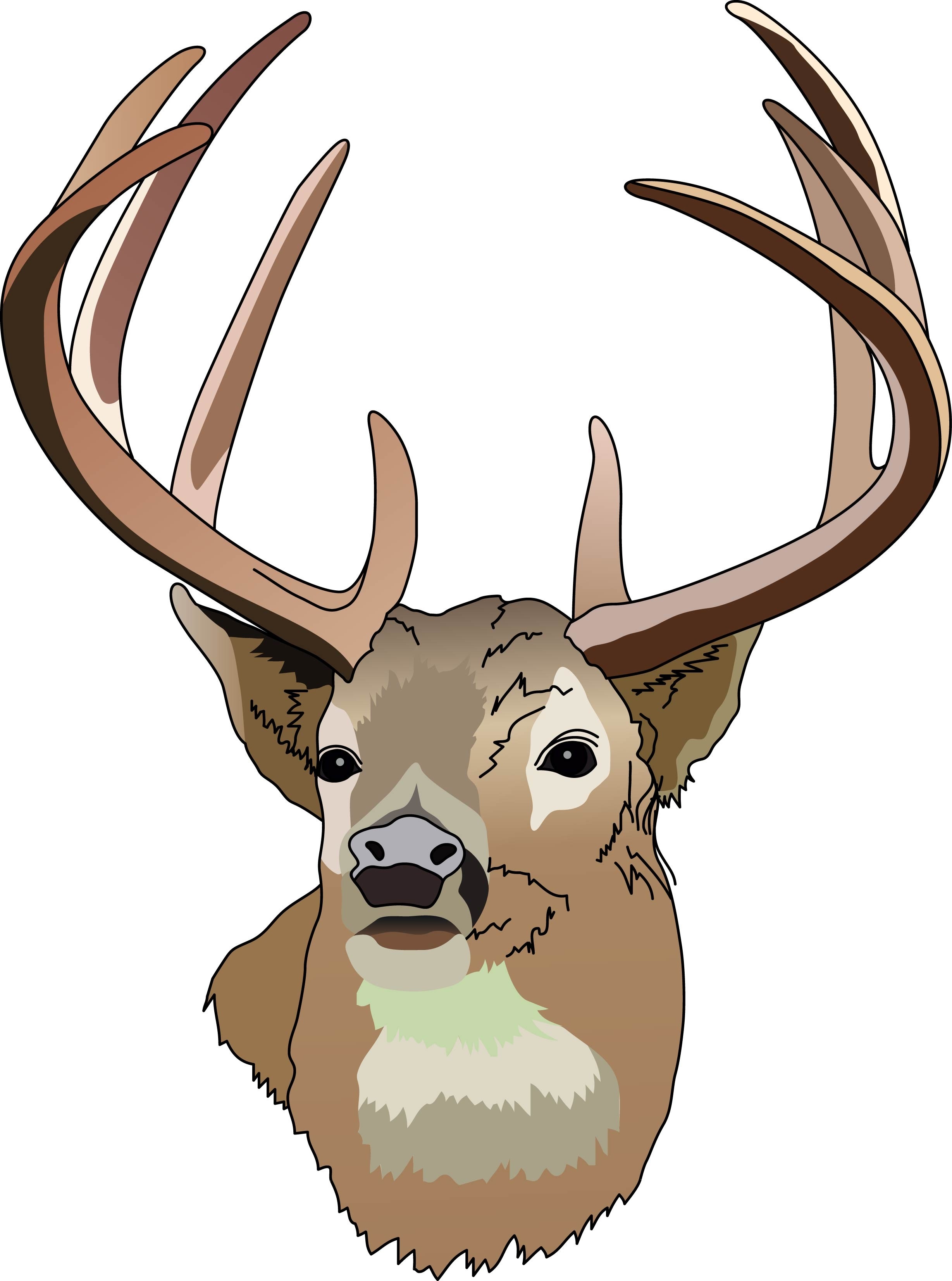 Deer hunting clipart free 2