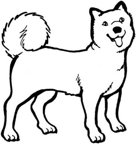 Dog  black and white black and white pictures of dogs clipart free to use clip art