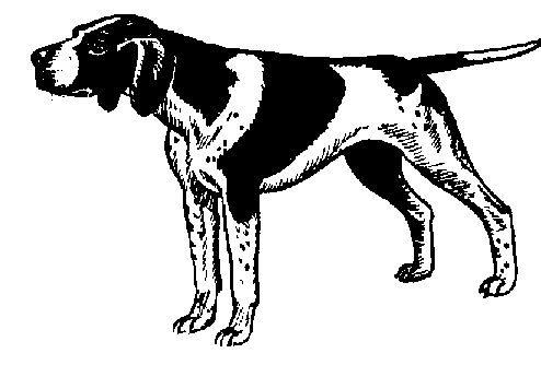 Dog  black and white dog clipart black and white clipart free download 4