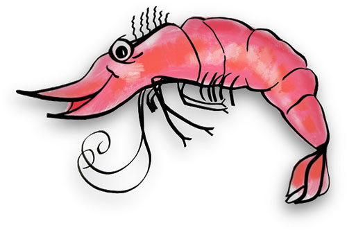 Free shrimp s animations clipart