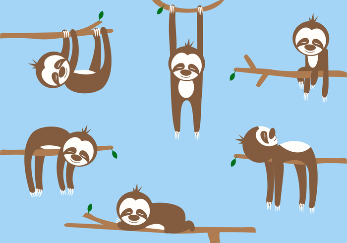Free sloth cartoon vector download art stock clipart