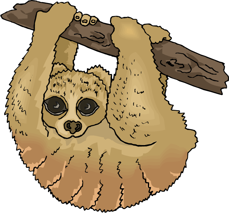 Free sloth clipart