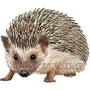 Hedgehog clipart tumundografico 6