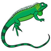 Iguana clipart 2 - WikiClipArt