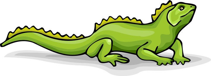 Iguana clipart cartoon free images 2