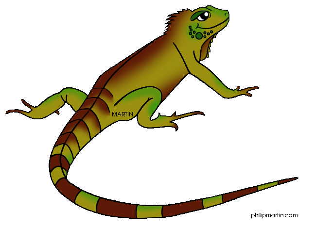 Iguana clipart cartoon free images 3
