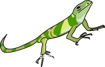 Iguana clipart cartoon free images 4