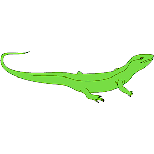 Iguana clipart cliparts of free download wmf emf