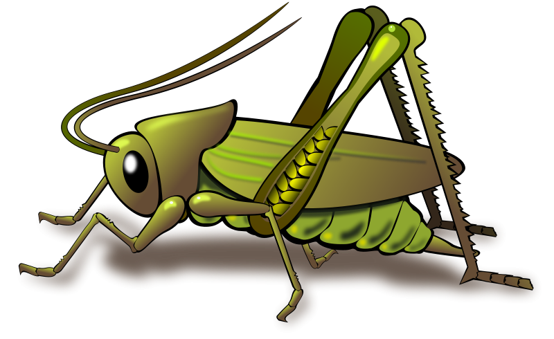 Insect cricket clipart clipartfox
