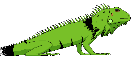 Isabelle the iguana clipart