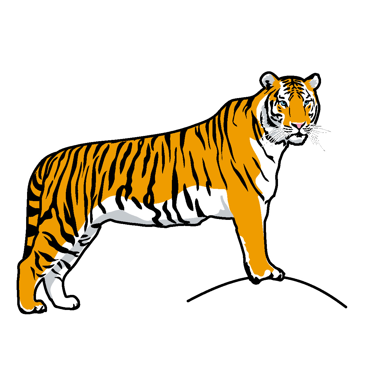 Амурский тигр мультяшный