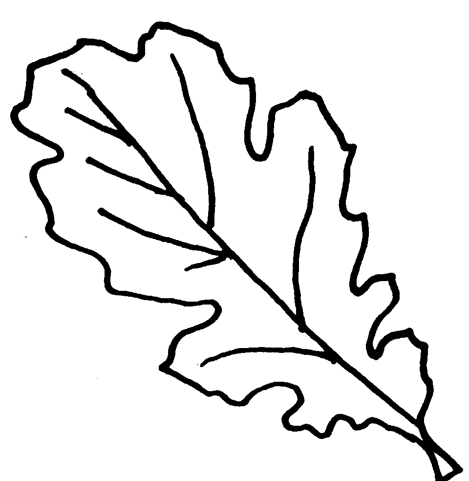 Leaf  black and white free oak leaf clipart 2