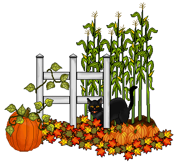 Pumpkin patch pumpkin clip art black cat in a patch