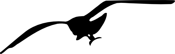 Seagull clip art free vector in open office drawing svg 2