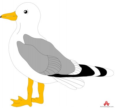 Seagull clip art image famclipart