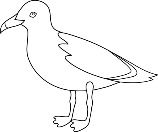 Seagull clipart black and white free images 2