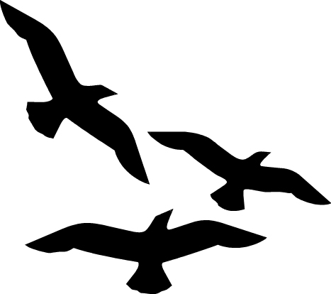Seagull clipart black and white free images 3
