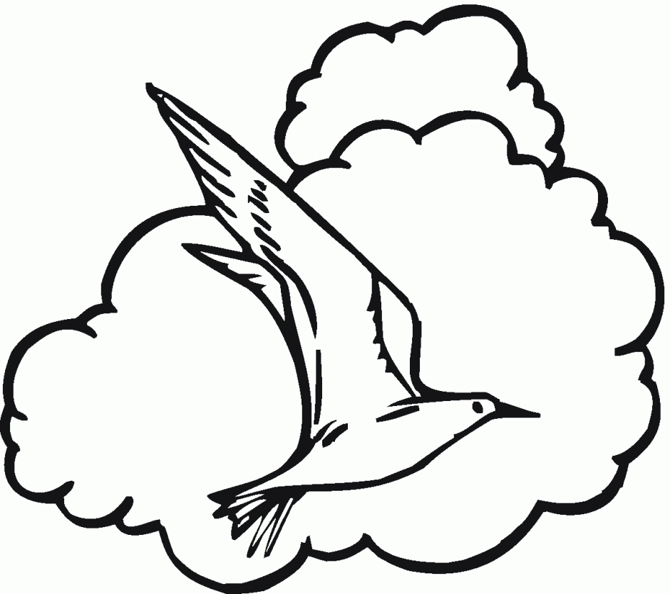 Seagull clipart by ron leishman free rf stock