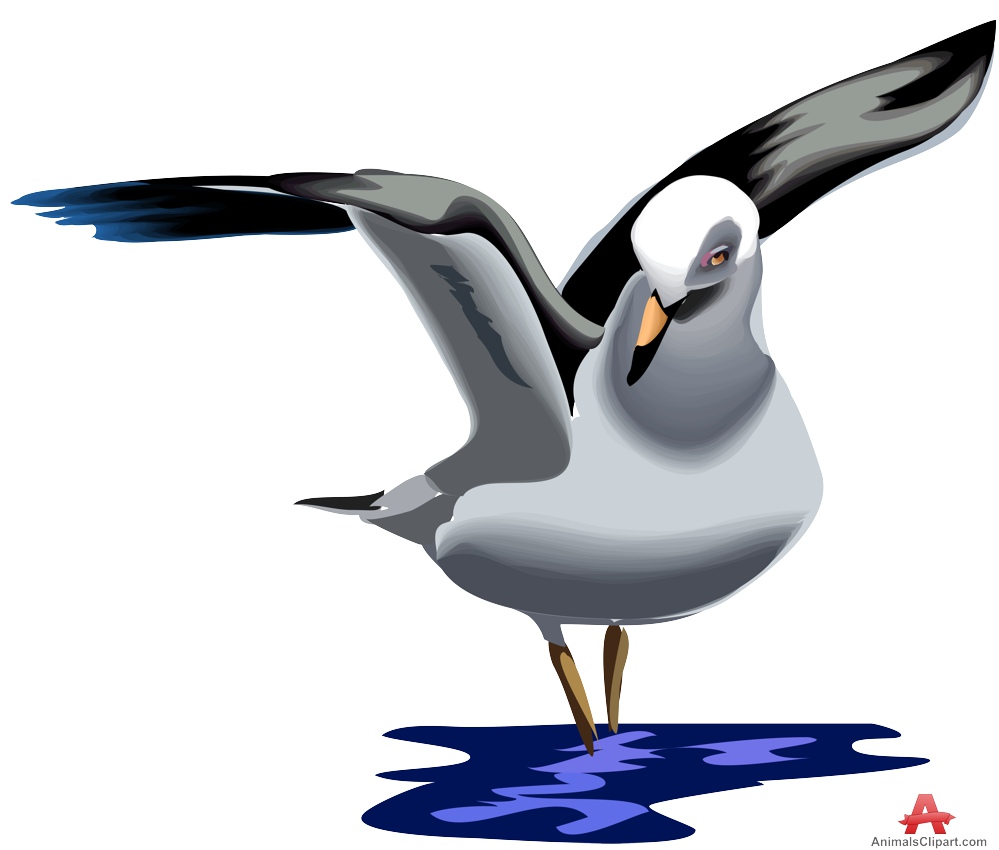 Seagull clipart free design download