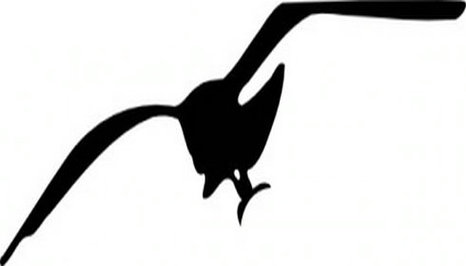 Seagull clipart free to use clip art resource 3