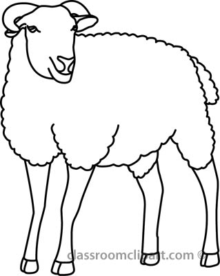 Sheep  black and white lamb black and white clipart 3