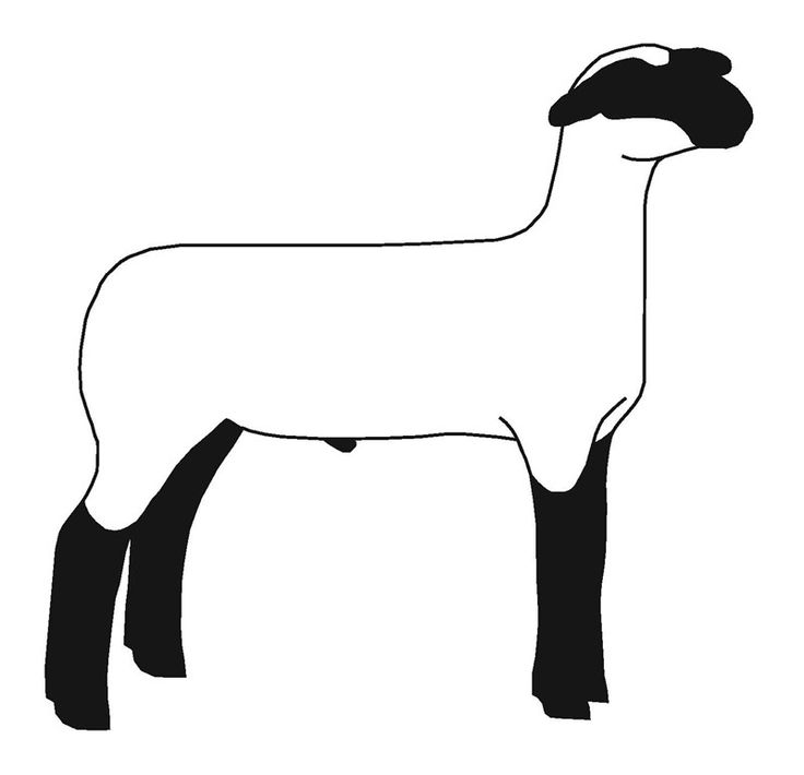 Sheep  black and white sheep clipart black and white free images wikiclipart