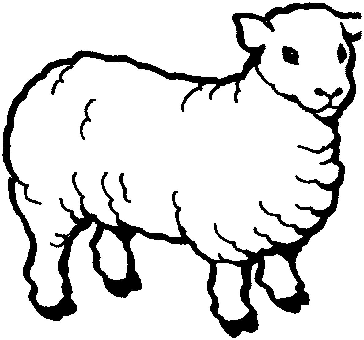 Sheep  black and white sheep clipart black and white free images