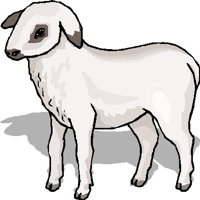 Sheep  black and white sheep lamb clipart black and white free images 2 2