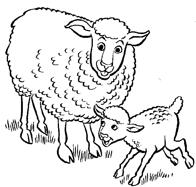 Sheep  black and white sheep lamb clipart black and white free images 5 2