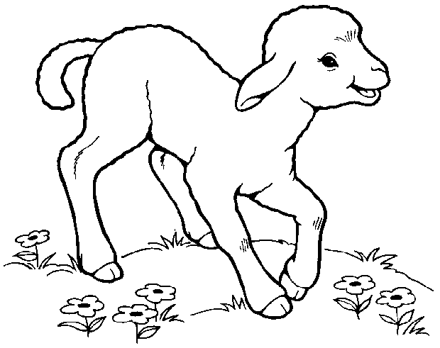 Sheep  black and white sheep lamb clipart black and white free images 5