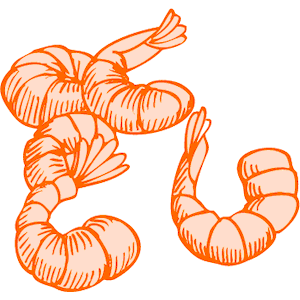 Shrimp clip art tumundografico 3