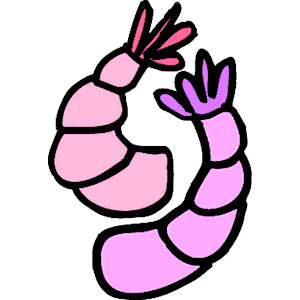 Shrimp clipart free download clip art on