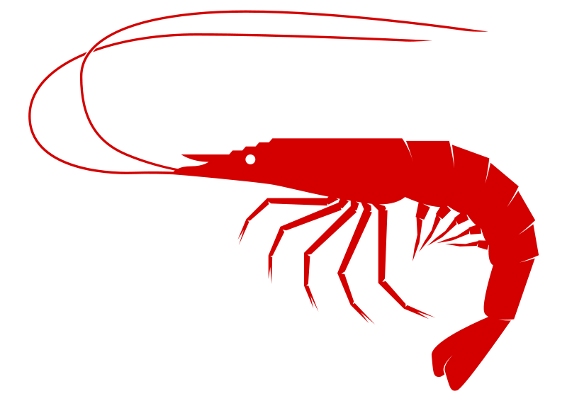 Shrimp free to use clipart