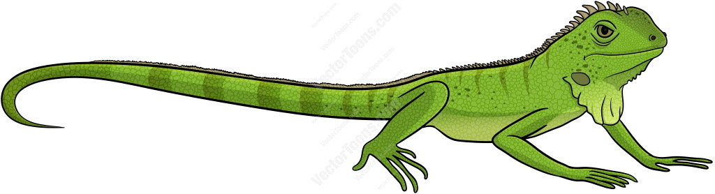 Side view of a green iguana cartoon clipart