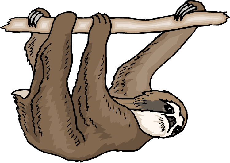 Sloth clipart 2