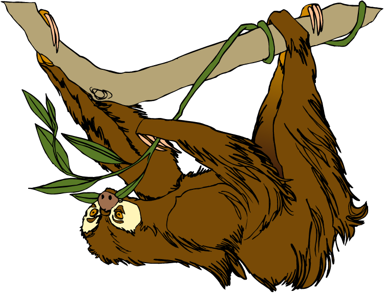 Sloth clipart 3