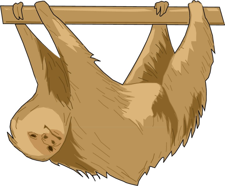 Sloth clipart 4