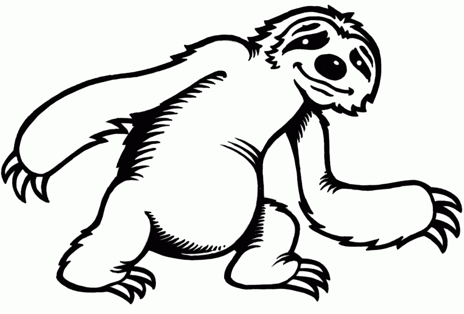 Sloth clipart free download clip art on