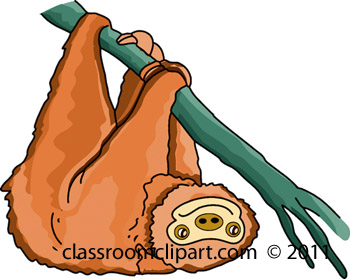 Sloth clipart free images