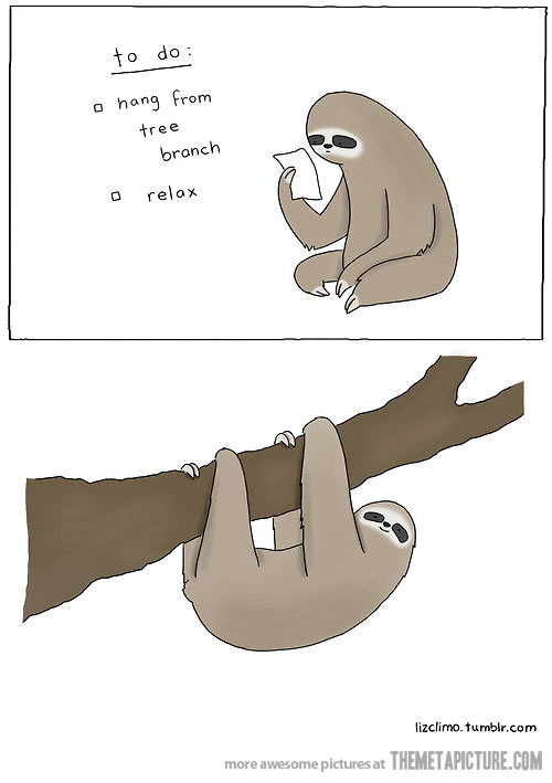 Sloth instructions the meta picture clipart