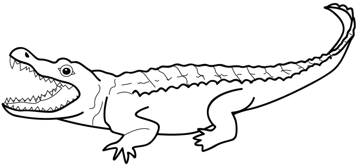 Alligator  black and white crocodile clipart black and white free