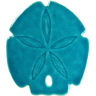 Clipart sand dollar free images