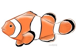 Clownfish 0 images about tropici fish on search clip art